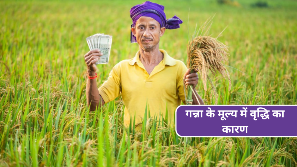 गन्ना के मूल्य में वृद्धि का कारण