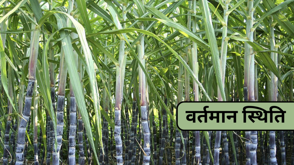 वर्तमान स्थिति